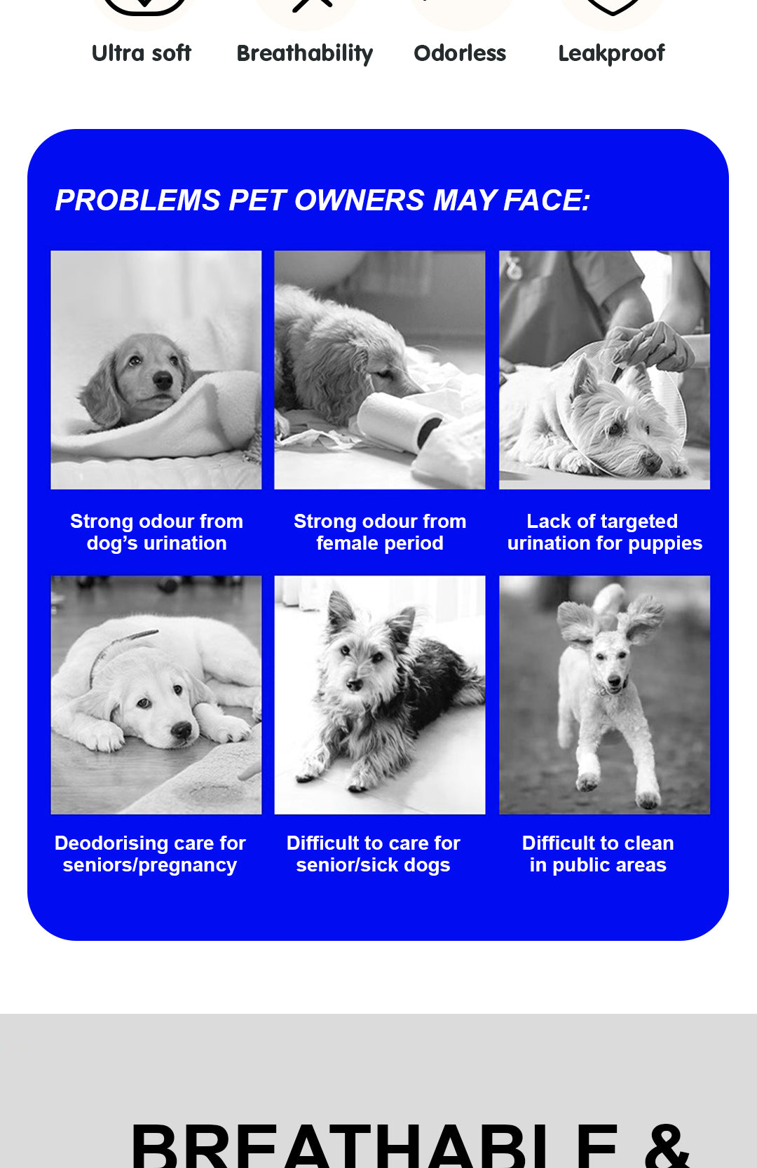 Image of Honeycare Dog Diaper