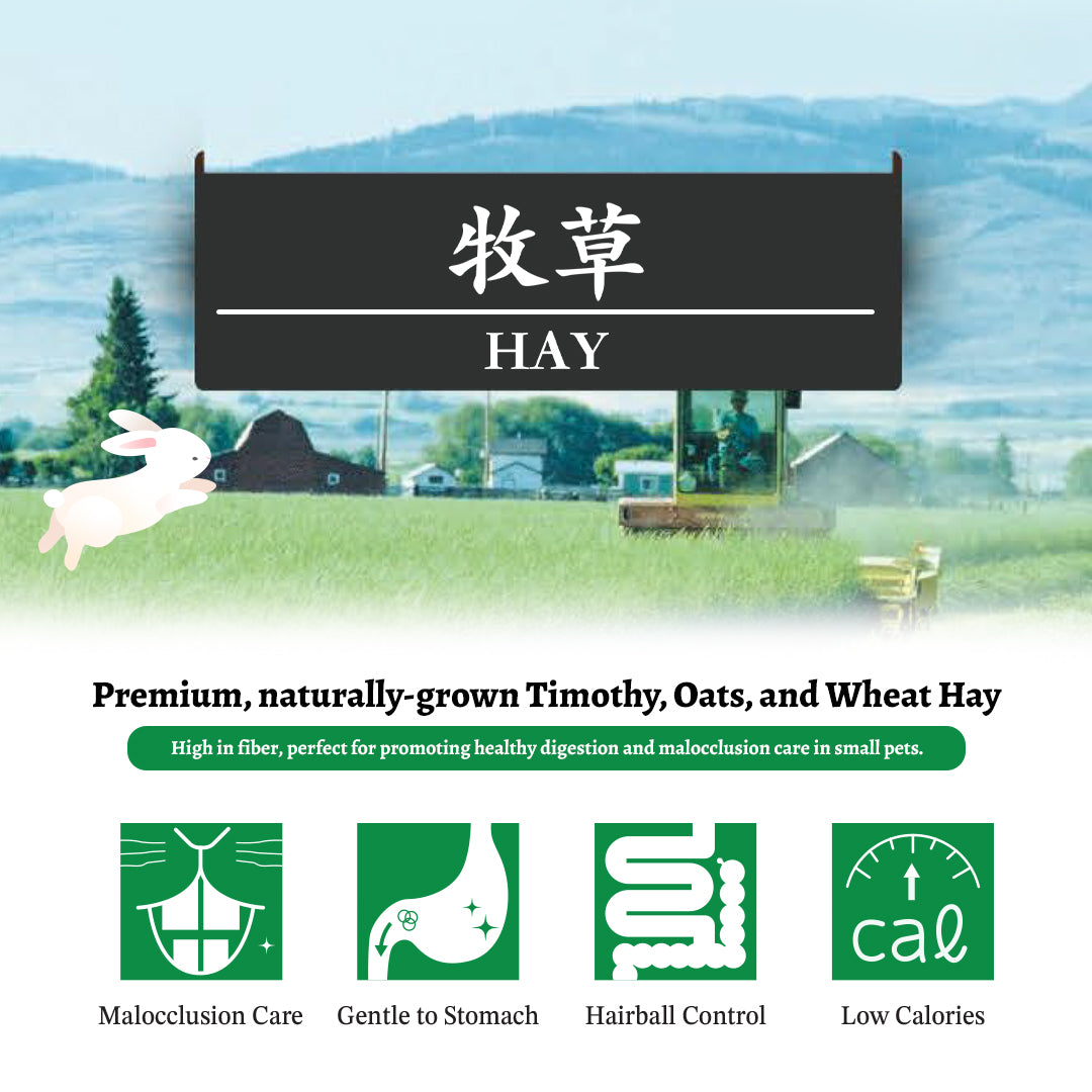 Hi-Pet Pro-select Hay