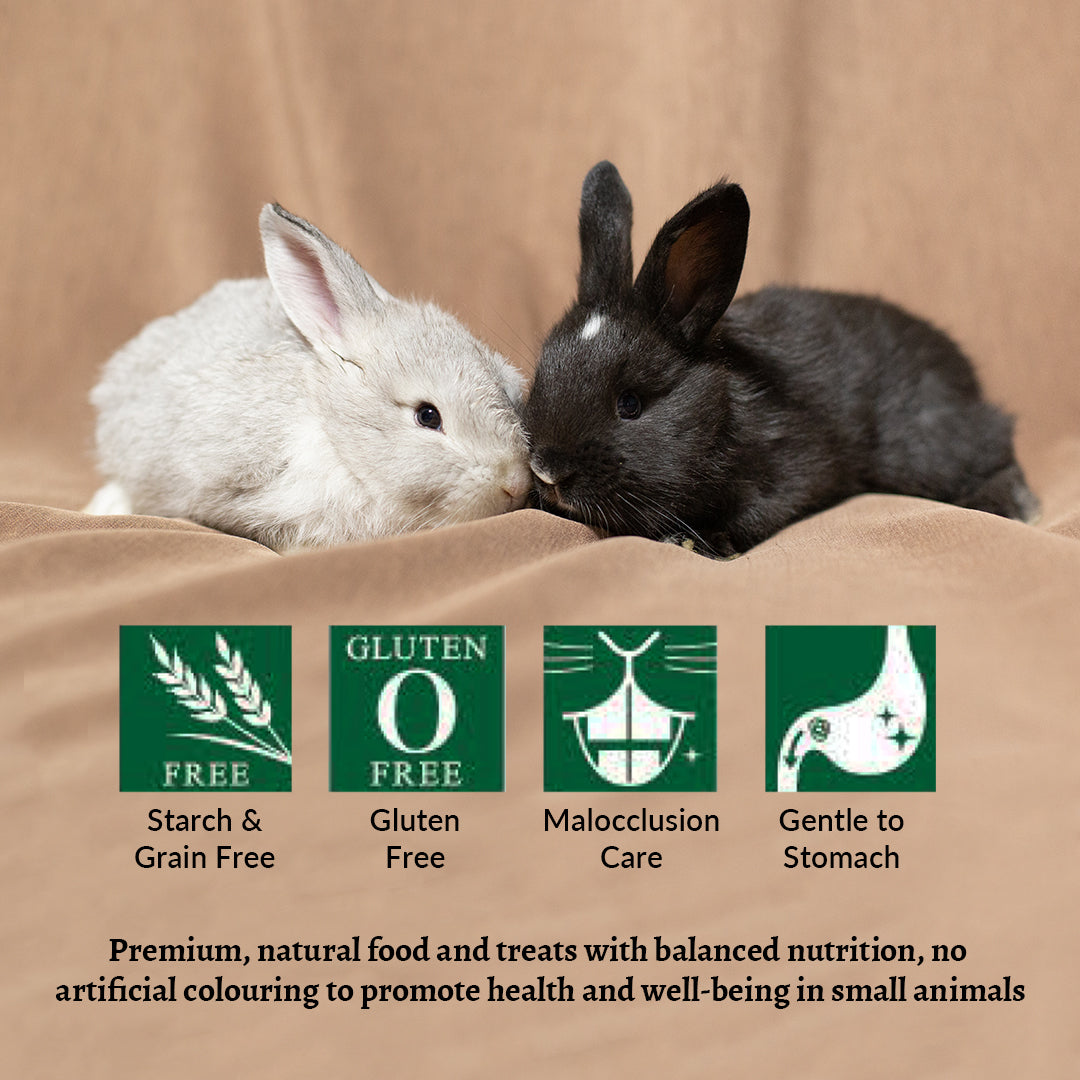 Image of Hi-Pet Timothy KIWAMI