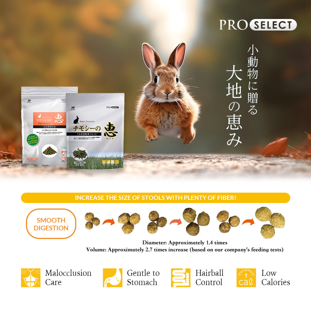 Image of Hi-Pet Timothy MEGUMI