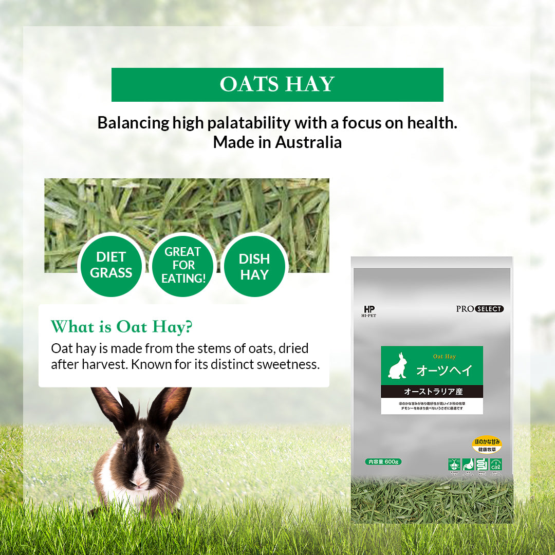 Image of Hi-Pet Pro-select Hay