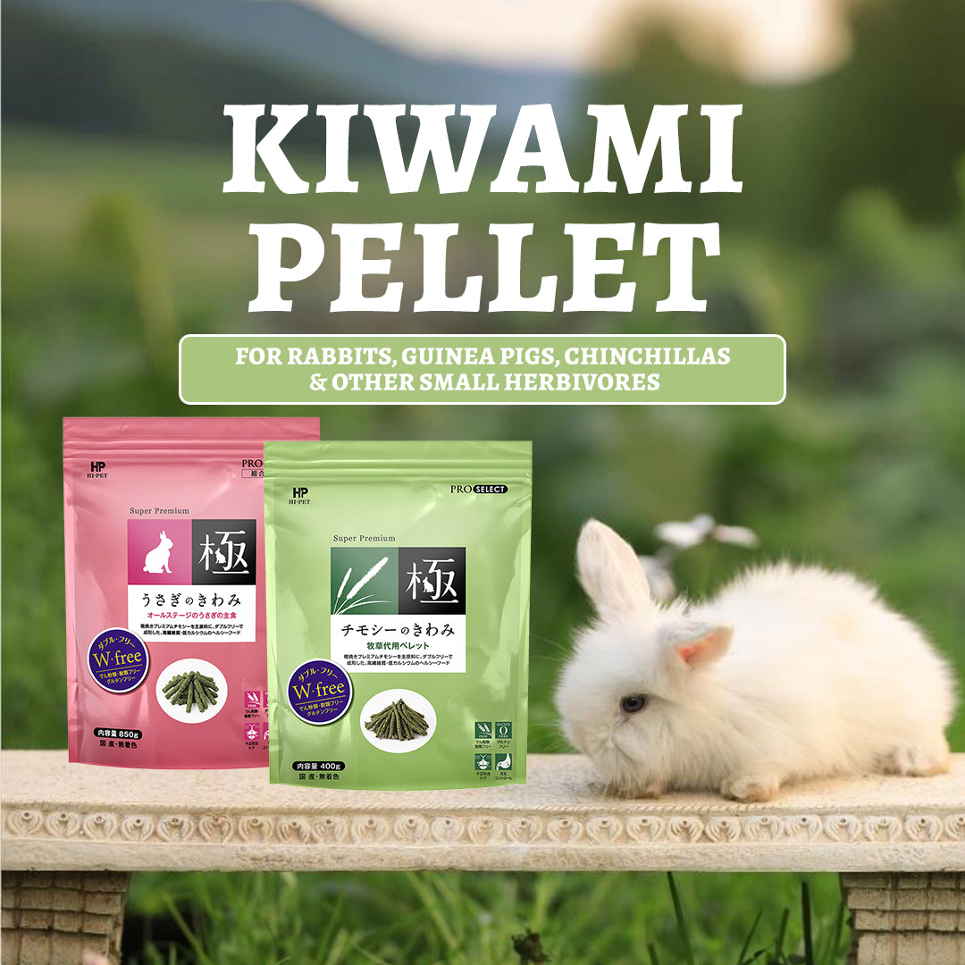 Hi-Pet Timothy KIWAMI