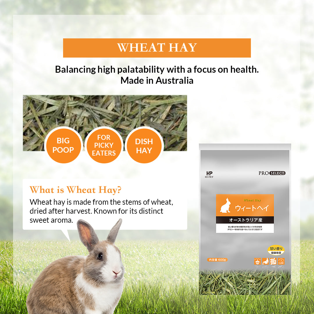 Image of Hi-Pet Pro-select Hay