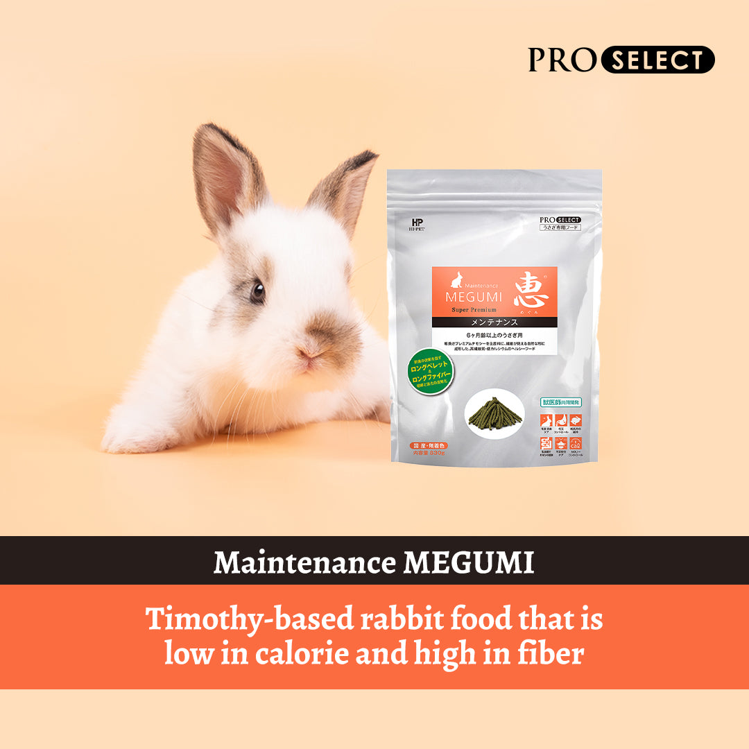 Image of Hi-Pet Timothy MEGUMI