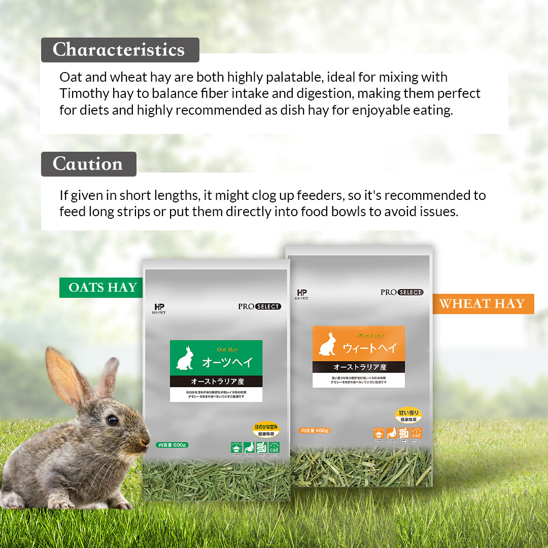 Hi-Pet Pro-select Hay