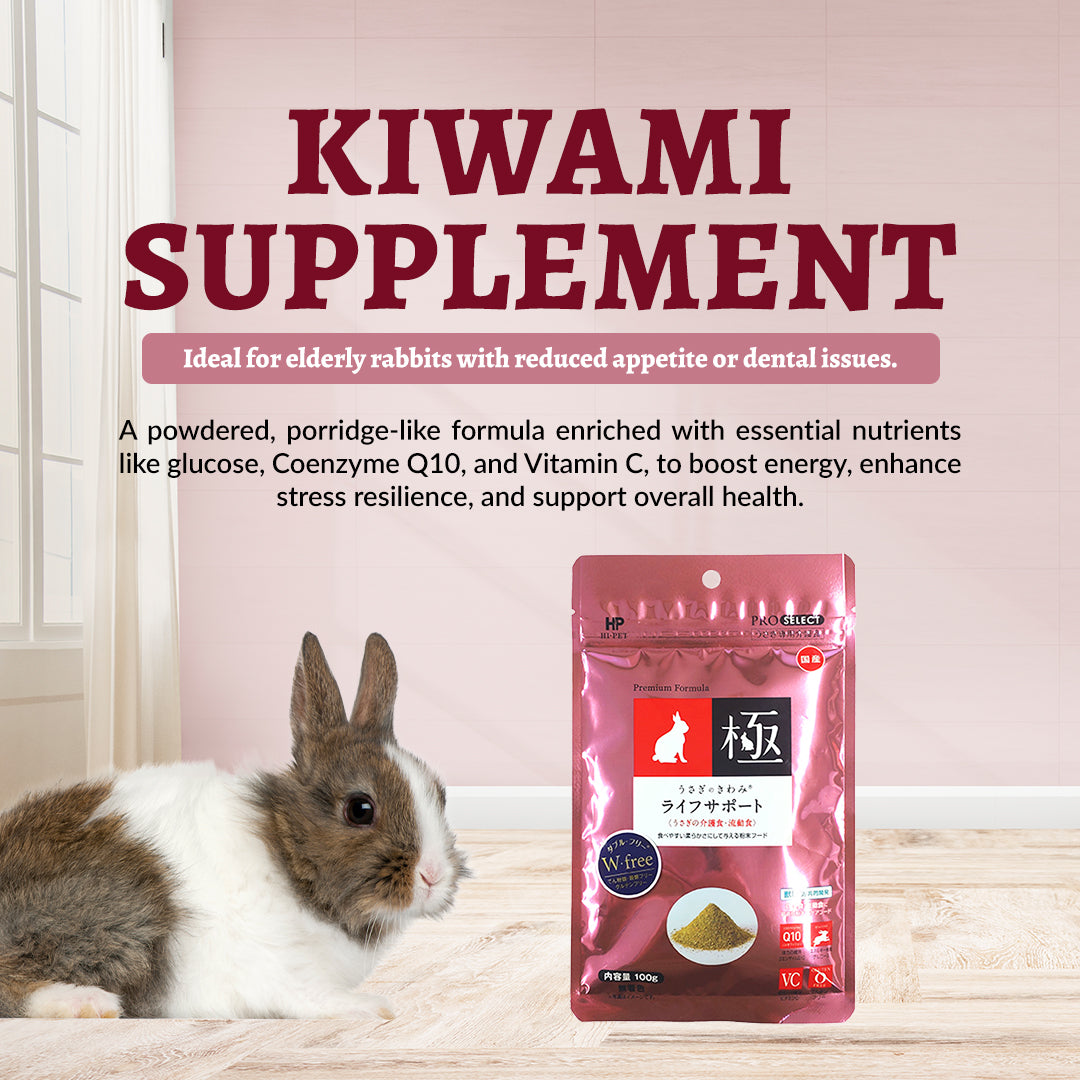 Hi-Pet Rabbit KIWAMI Life Support