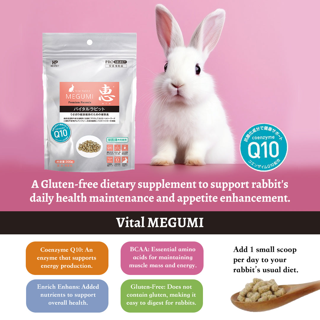 Image of Hi-Pet Timothy MEGUMI