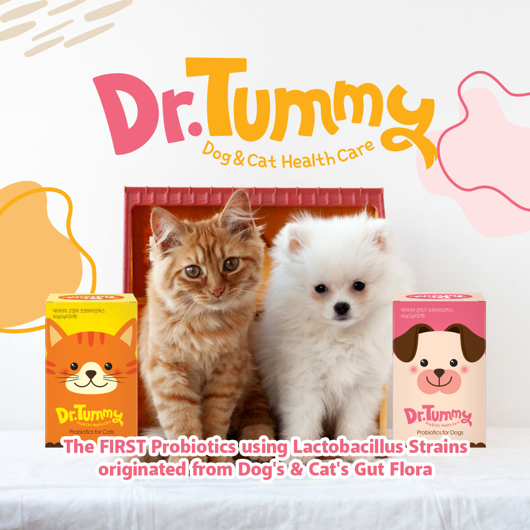 Dr Tummy Probiotic Blend