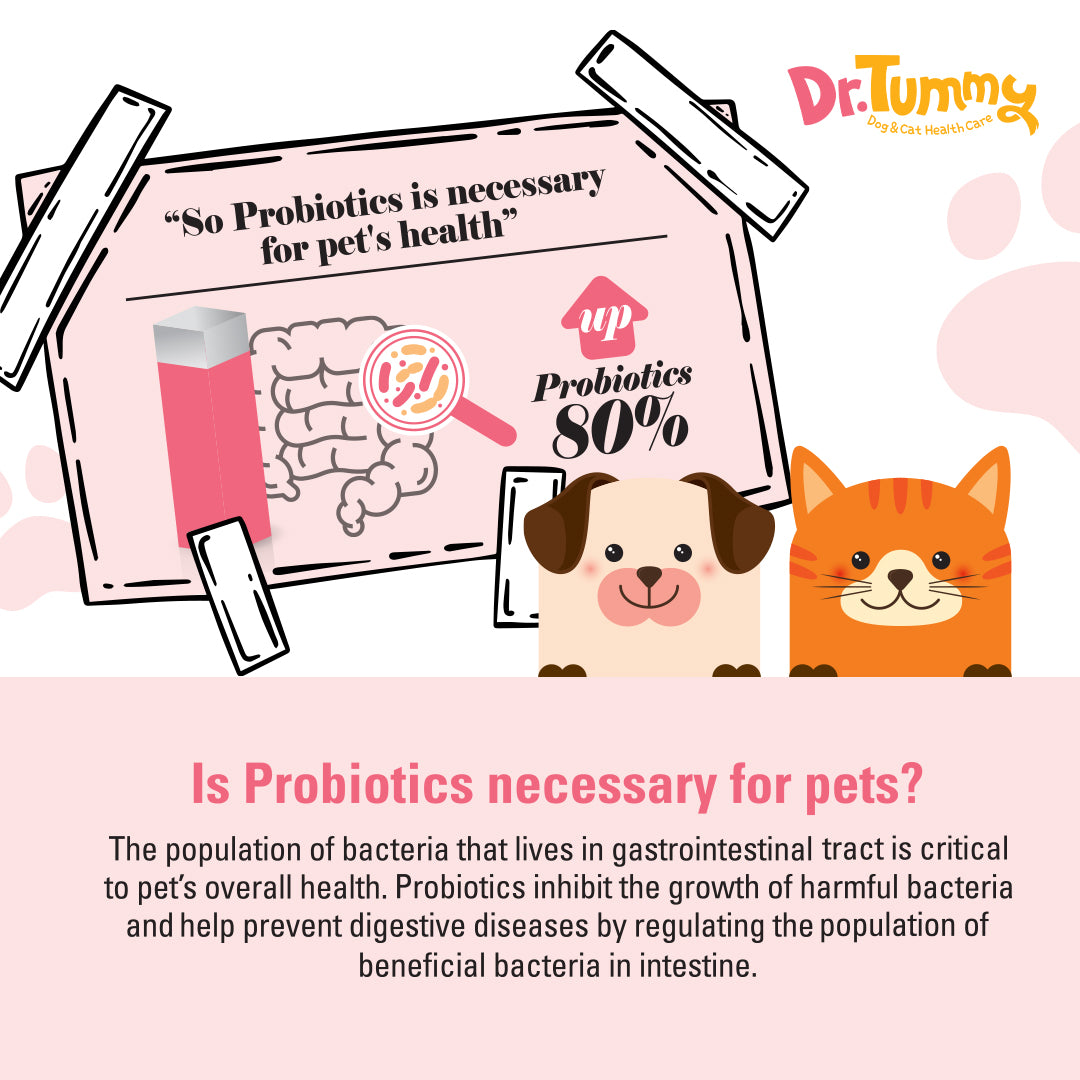 Image of Dr Tummy Probiotic Blend