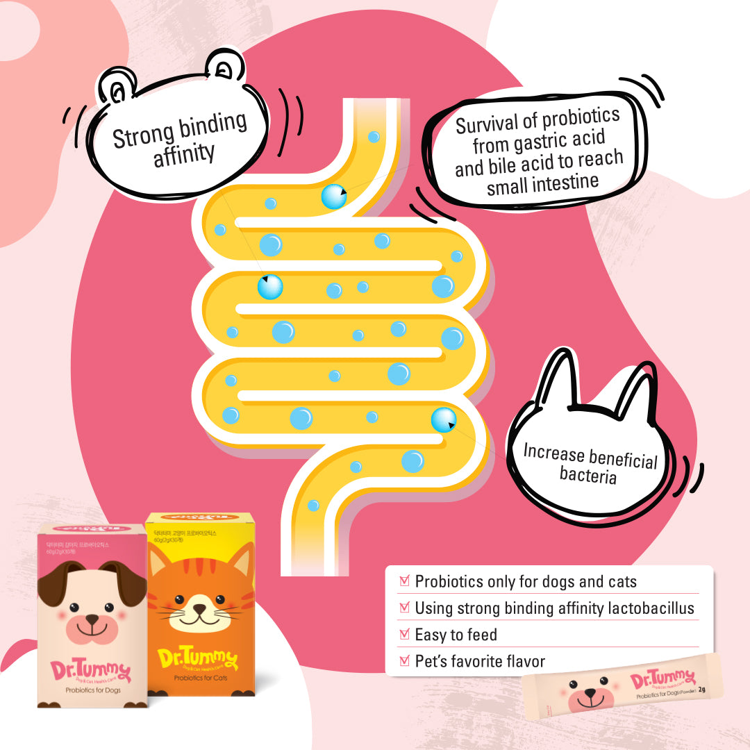 Image of Dr Tummy Probiotic Blend