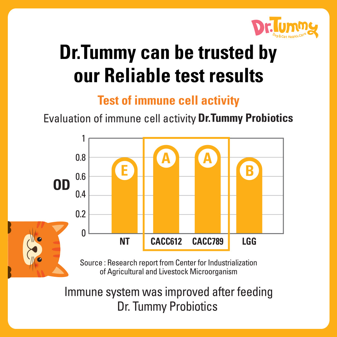 Dr Tummy Probiotic Blend