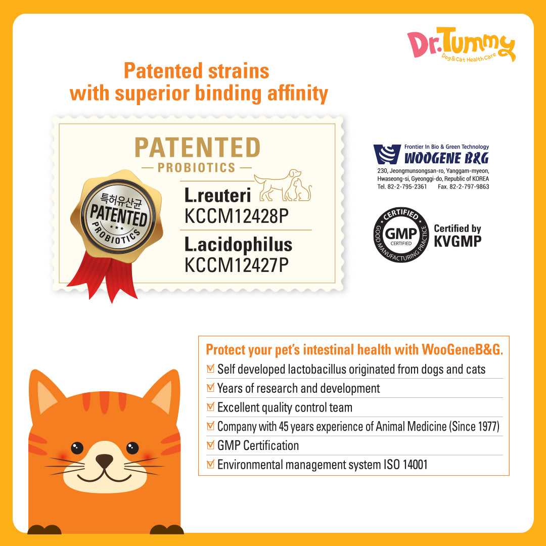 Dr Tummy Probiotic Blend