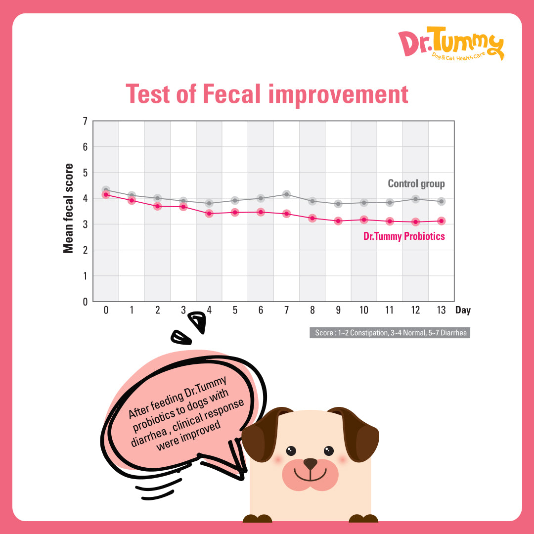 Dr Tummy Probiotic Blend