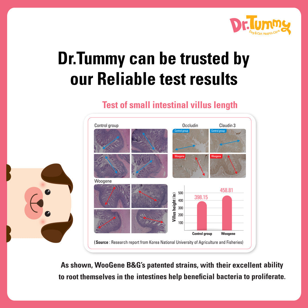 Image of Dr Tummy Probiotic Blend