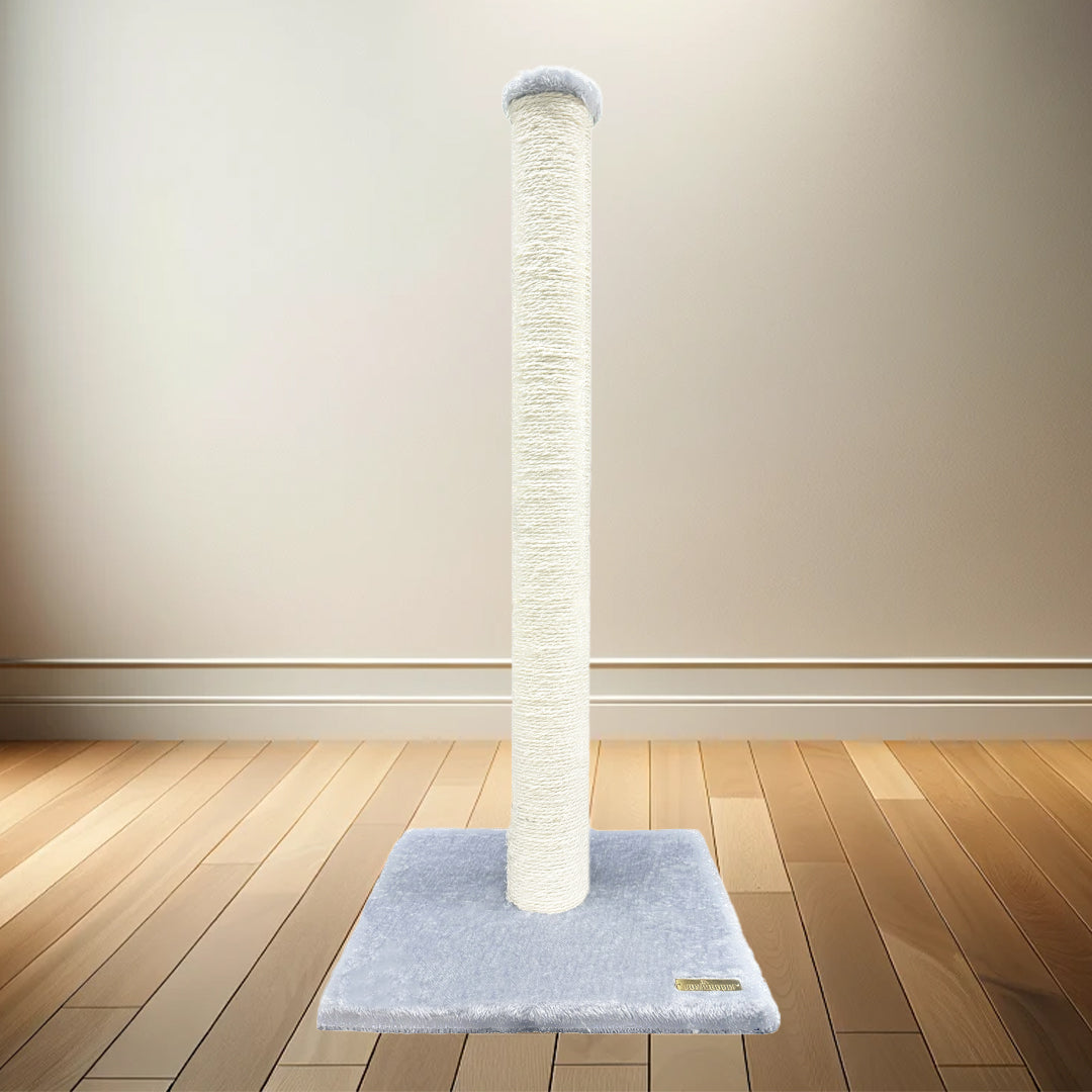 Image of Joy For The Good Cat Scratching Pole