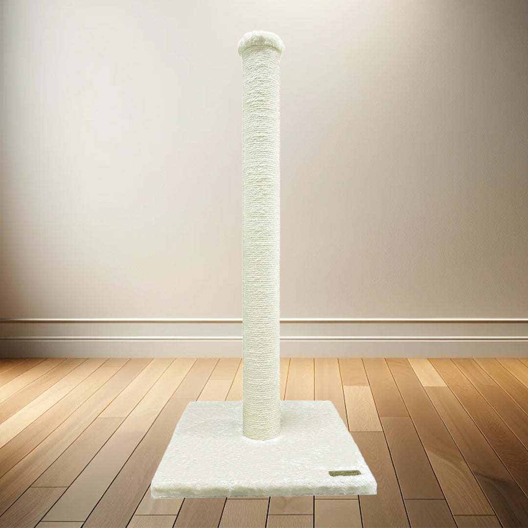 Image of Joy For The Good Cat Scratching Pole