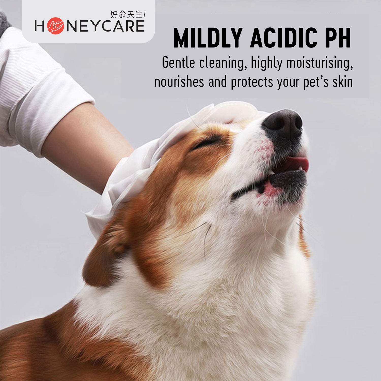 Image of Pet Spa Cleansing Glove