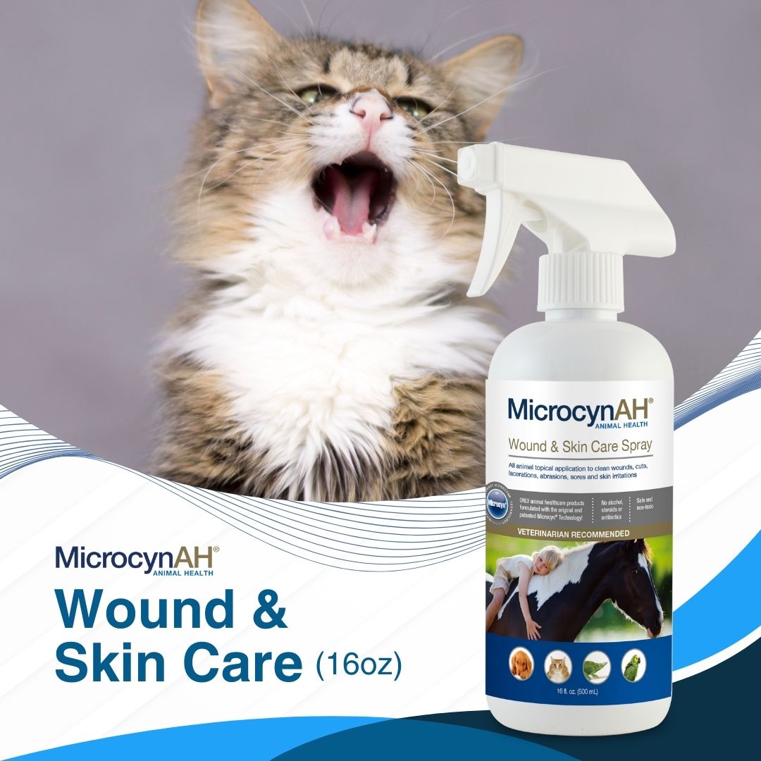 Image of MicrocynAH Wound and Skin Care Spray For Dogs & Cats