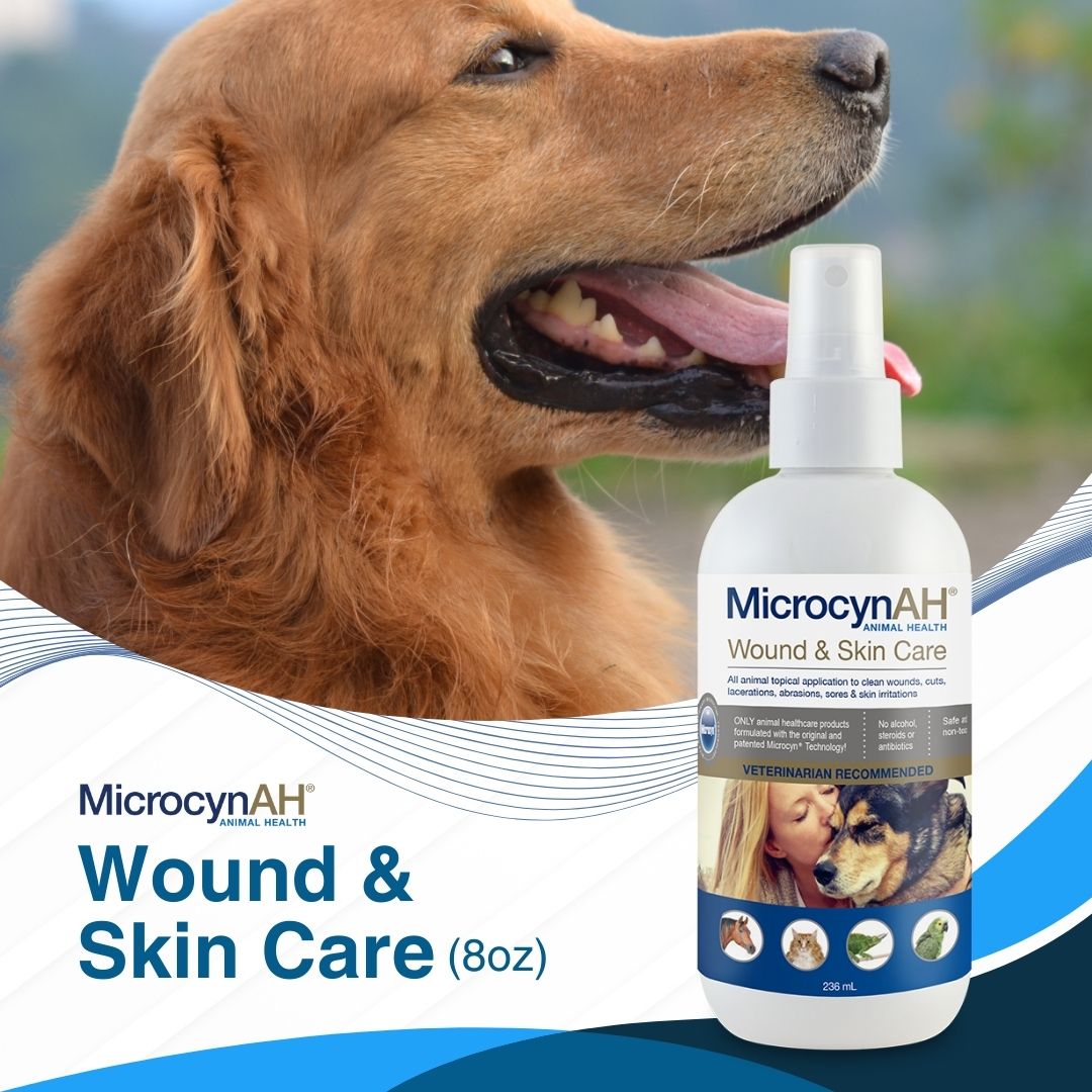 Image of MicrocynAH Wound and Skin Care Spray For Dogs & Cats