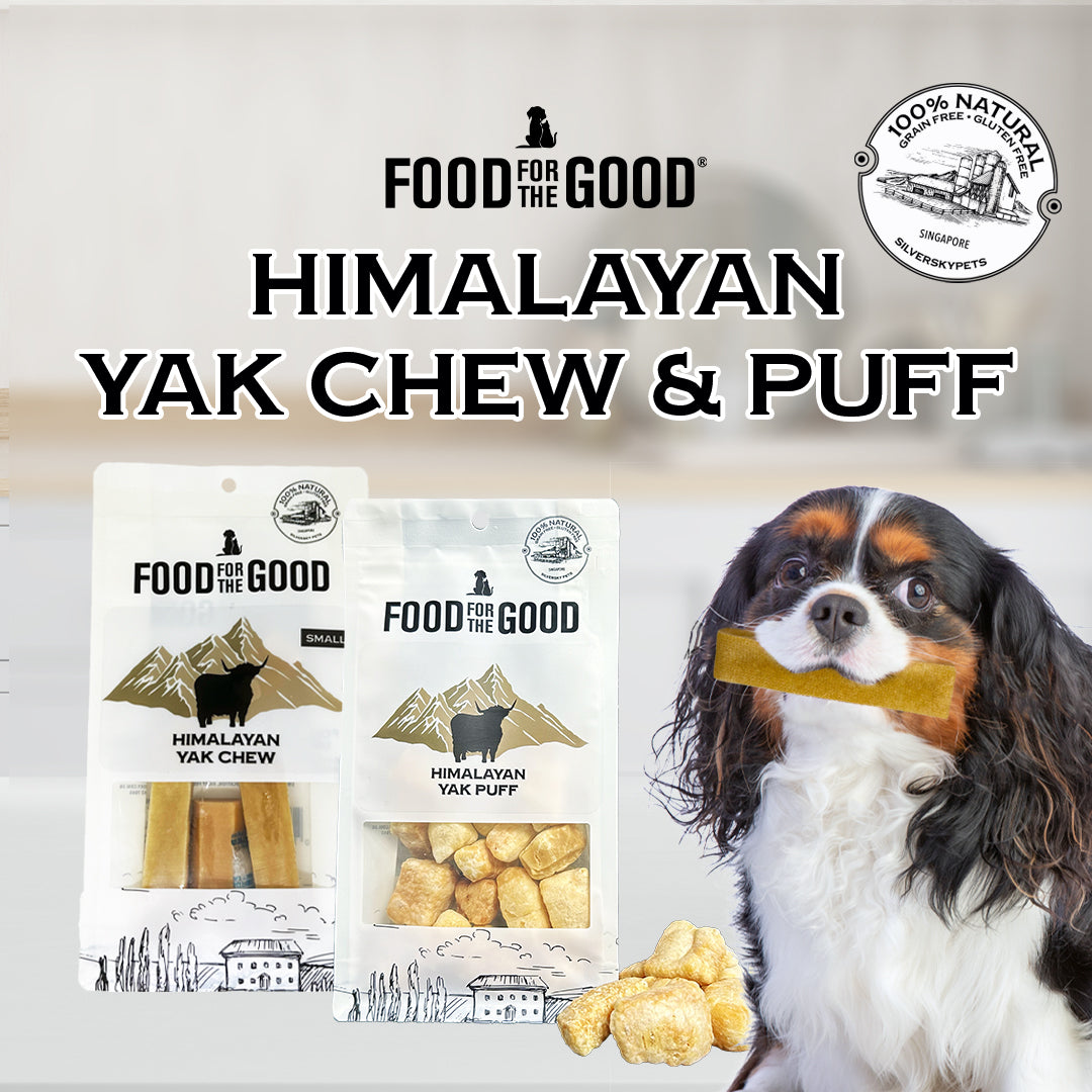 Himalayan Yak Chews